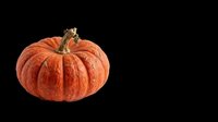 Ripe orange pumpkin with textured skin and dried stem, isolated on transparent background, ready for Halloween clipart, stickers, t-shirt design, and print on demand.
