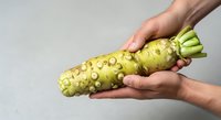 Fresh turmeric root held in hands against white background, showcasing bumpy texture and natural yellow color for culinary and wellness content.