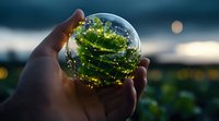 Hand holding crystal ball with magical green nature reflection and bokeh lights creating dreamy ethereal atmosphere against blurred sunset landscape background.