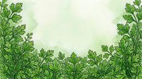 Lush green parsley herb border with watercolor wash background, isolated design element for culinary, cooking, and organic food packaging, menu layouts, and botanical illustrations.