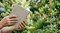 Mature adult male holding open book outdoors in lush garden setting with blooming flowers and green foliage, reading and learning in nature.