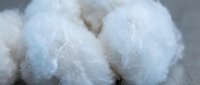 Close-up of fluffy white cotton bolls with soft, wispy fibers ready for textile production and fabric manufacturing applications.