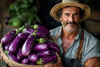 Mature Hispanic farmer holding fresh harvested purple eggplants in woven basket, wearing straw hat and overalls, authentic organic farming portrait.