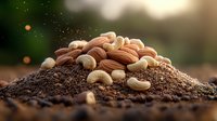 Fresh roasted cashews and almonds scattered on dark ground coffee powder with soft bokeh background and morning sunlight creating warm atmosphere.