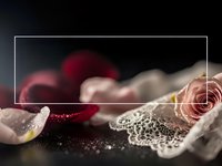 Elegant jewelry display with pearls, roses and lace on dark surface creating luxurious romantic atmosphere for fashion and accessories marketing.
