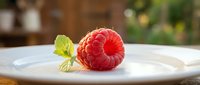 Single fresh red raspberry with green leaf on white plate, ideal for food photography, culinary blogs, recipe websites, and gourmet dining concepts.