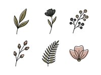 Botanical line art elements with leaves and flowers isolated on white background, ready for design projects, invitations, and decorative applications.