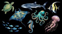 Isolated sea creatures collection featuring turtle, shark, manta ray, octopus, seahorse, jellyfish, tropical fish and small fish school on transparent background. Ready for t-shirt design, clipart, stickers, sublimation and print-on-demand projects.
