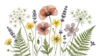 Watercolor wildflower arrangement with poppies, lavender, ferns and Queen Anne's lace on white background, isolated botanical illustration for design projects.