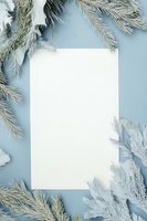 Blank white card on light blue background with frosted pine branches and winter foliage creating elegant holiday frame.