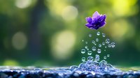 Purple flower floating above water surface with splashing droplets and bubbles rising in sunlight against blurred green natural background. Perfect for wellness concepts.