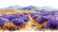 Vibrant lavender field with winding path through purple bushes, golden wheat and distant mountains against summer sky, watercolor style landscape painting.