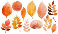 Vibrant autumn leaves collection in warm orange, yellow, and red tones on white background, isolated for seasonal design projects.