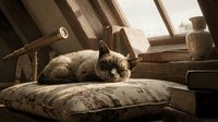 Tabby cat resting on patterned cushion in rustic attic space with wooden beams and vintage decor, suitable for home, pet, and lifestyle content.