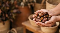 Farmer holding freshly harvested cocoa pods in hands, showing ripe brown cacao beans ready for processing and chocolate production in agricultural setting.