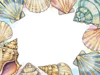 Watercolor seashells frame border on white background with space for text. Marine coastal decoration for summer beach themed designs and projects.