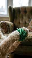 Fluffy cat playing with green crinkled paper toy in cozy living room with vintage leather sofa creating warm domestic pet scene for home lifestyle content.