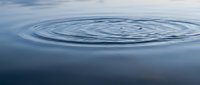 Concentric water ripples spreading across calm blue surface creating peaceful meditation and tranquility concept for wellness and mindfulness applications.