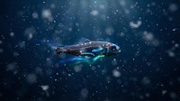 Colorful fish swimming in deep blue water with floating bubbles and particles creating dreamy underwater atmosphere for aquatic designs.