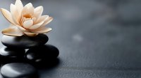 Serene peach water lily flower on black spa stones against dark textured background, creating zen atmosphere for wellness and meditation concepts.