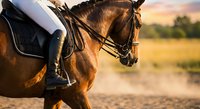 Bay horse with rider in dressage bridle during golden hour training session. Equestrian sport and horseback riding concept for outdoor recreation activities.