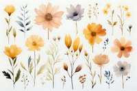 Delicate watercolor wildflowers in peach, yellow and gray tones arranged in botanical composition on white background, suitable for wedding stationery and home decor.