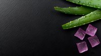 Fresh cut aloe vera leaves with water drops and purple ice cubes on black slate background, top view composition for spa and wellness concept.