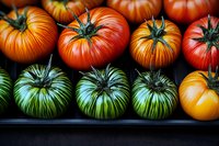 Fresh heirloom tomatoes in vibrant orange, red, and green colors arranged on dark surface, showing natural ripeness patterns and distinctive ribbed shapes.