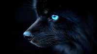 Black cat with striking bright blue eyes in dramatic dark lighting, side profile view showing mystical and mysterious feline features against black background.