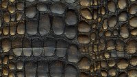 Luxury dark brown crocodile leather texture with golden highlights showing detailed scales and natural pattern, seamless background for fashion and design projects.