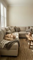 Cozy living room with orange tabby cat sleeping on beige sectional sofa with knit throw blanket and natural sunlight streaming through plantation shutters.