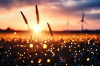 Golden wheat stalks silhouetted against dramatic sunset sky with wind turbine in background, dreamy bokeh lights across field create magical atmosphere.