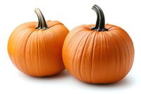Fresh orange pumpkins with green stems isolated on white background, ready for autumn decoration, Halloween carving, or cooking.