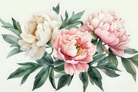 Delicate pink and cream peonies with lush green foliage arranged in elegant botanical composition against light background. Soft vintage floral watercolor style.