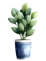 Green leafy plant in blue ceramic pot with Greek key pattern border on white isolated background, suitable for home decor illustrations and botanical designs.