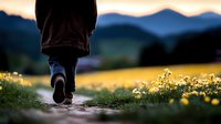 Person walking alone on rural path through blooming meadow at sunset, mountains in background, peaceful outdoor scene with wildflowers and dramatic lighting.