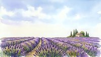 Lavender field landscape with cypress trees and rustic villa in rolling hills, watercolor painting style for home decor and travel themes.