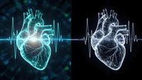 Digital anatomical heart with ECG rhythm pulse line medical healthcare cardiology concept on dark background for educational presentations.