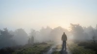 Silhouette of person walking on misty rural path at dawn with dramatic sunlight breaking through fog and trees creating atmospheric countryside scene.
