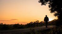 Man riding bicycle on rural road during golden hour sunset with tree silhouettes and warm sky, suitable for lifestyle and outdoor activity concepts.