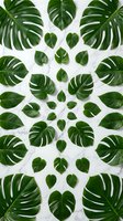 Tropical monstera leaves arranged in symmetrical pattern on white marble background for botanical design projects and natural home decor concepts.