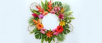 Tropical flower wreath with vibrant hibiscus, plumeria and palm leaves on white background. Colorful Hawaiian lei arrangement for summer decoration.