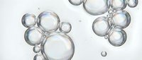 Transparent soap bubbles of varying sizes floating against white background, isolated and ready for design projects, overlays, and digital compositions.