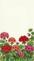 Watercolor geranium flowers in red, pink, and coral tones with green leaves on a light background, copy space for text or design.