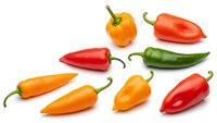 Colorful assortment of fresh hot chili peppers in red, orange and green varieties isolated on white background for cooking and spice design projects.