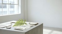 Minimalist workspace with green fern leaf on concrete desk, open notebook and pen, bright window light, modern office interior design for creative projects.