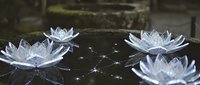 Crystal lotus flowers floating on dark water surface with sparkling light reflections creating magical zen meditation atmosphere for wellness designs.