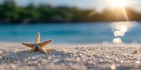 Starfish on sandy tropical beach at sunset with turquoise ocean water and golden sun flare creating dreamy summer vacation atmosphere.