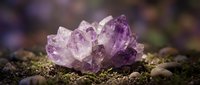 Amethyst crystal cluster resting on moss and pebbles with a soft bokeh purple background, evoking natural healing energy and spiritual calm.