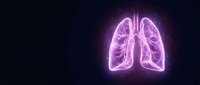 Glowing neon pink lungs anatomy illustration on dark background for medical education, healthcare presentations and respiratory system studies.